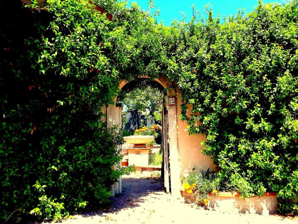 Casa Magnolia Διαμέρισμα Pomezia Εξωτερικό φωτογραφία